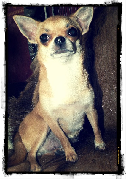 Hurry up of Angel Village